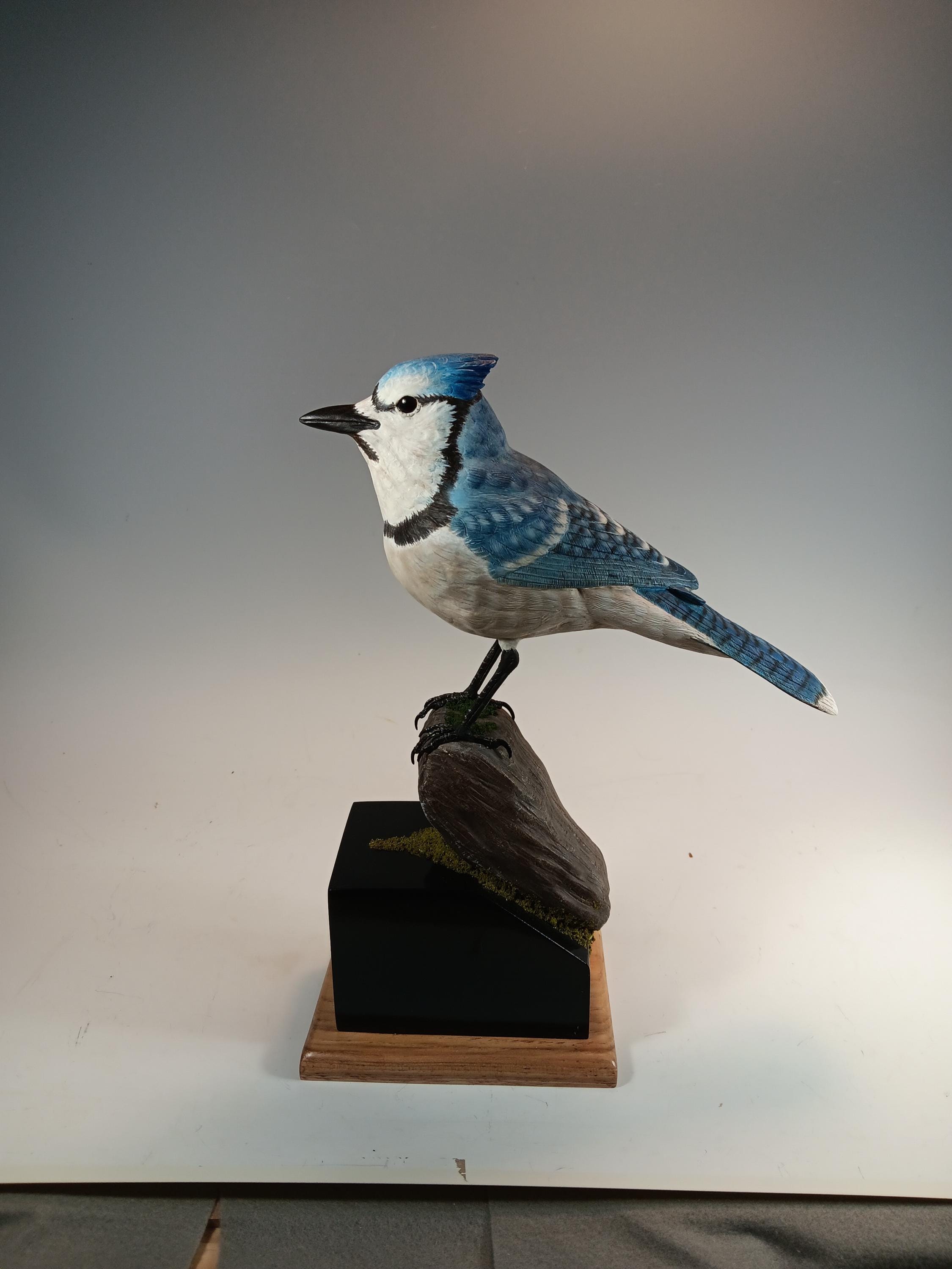 Blue Jay (Moss Base) — hand carved wildfowl sculpture by Edward H. Legg