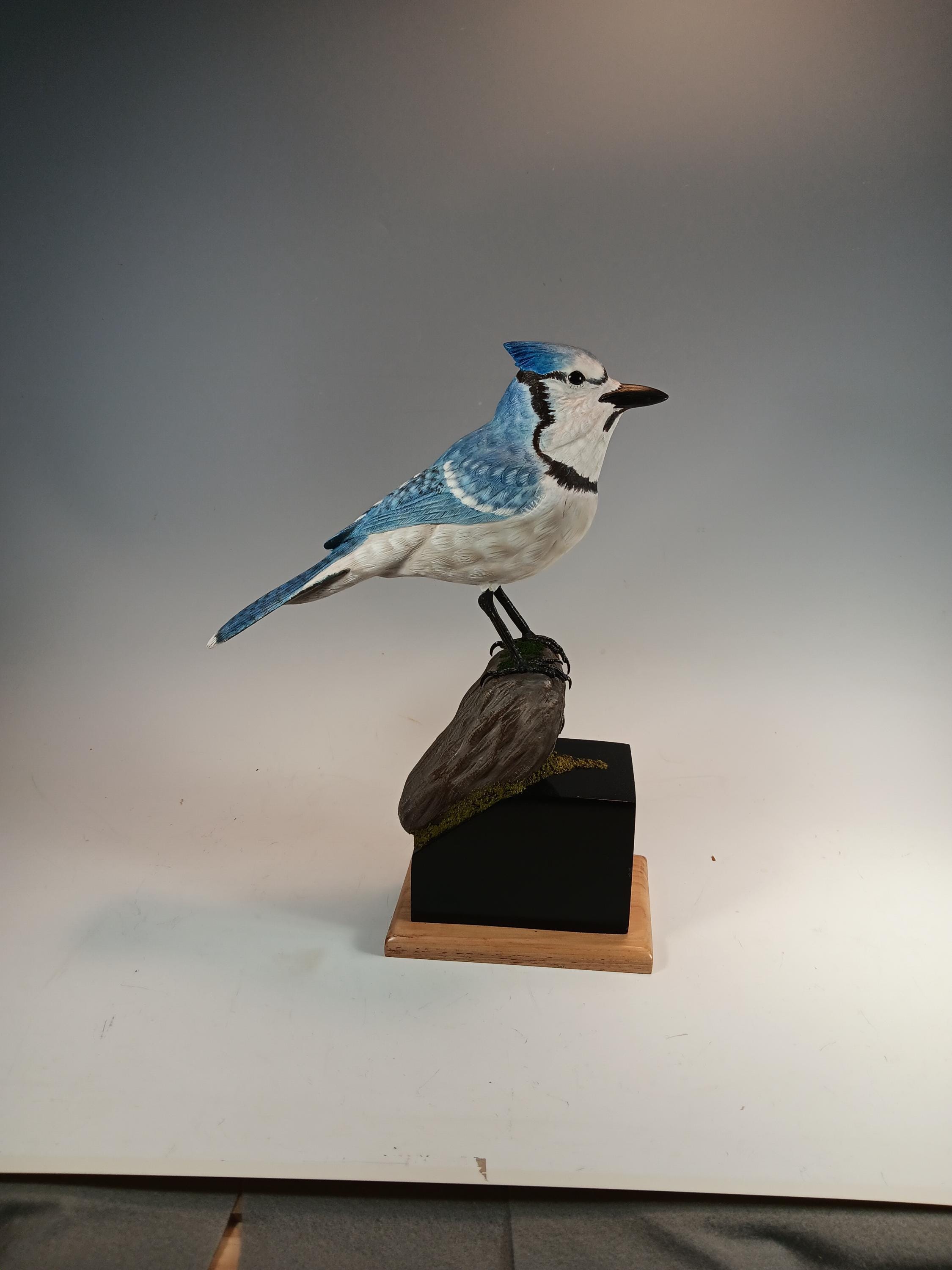 Blue Jay (Moss Base) — view 4