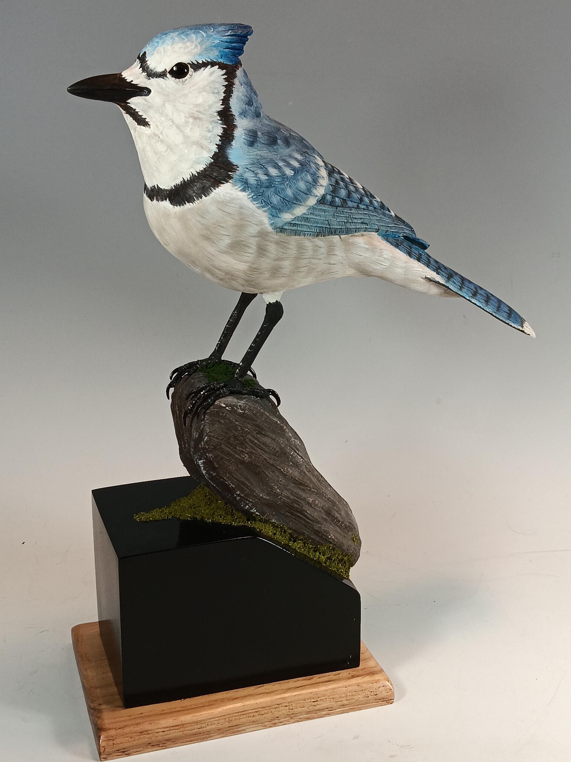 Blue Jay (Moss Base) — view 6
