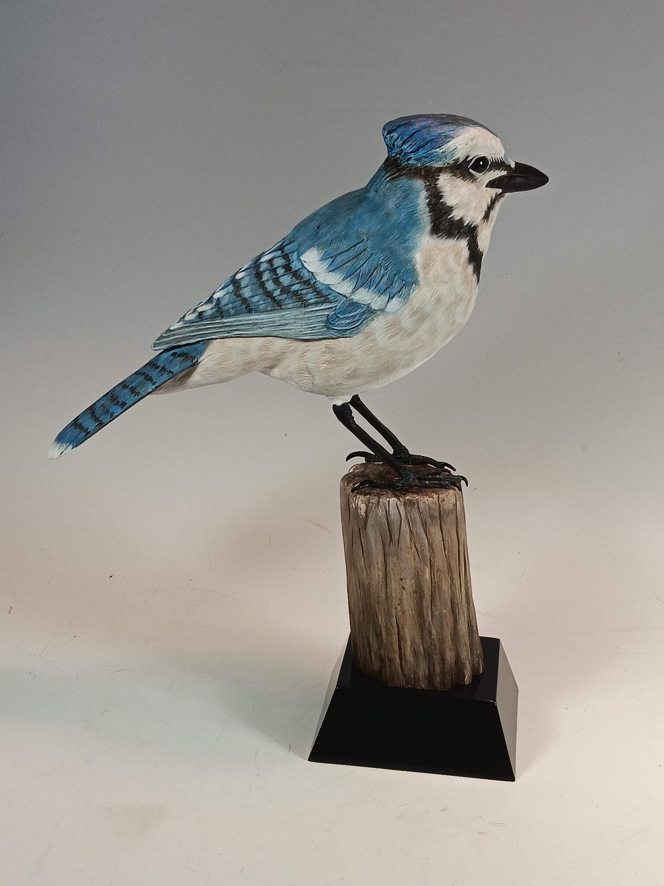 Blue Jay (Stump Base) — view 4