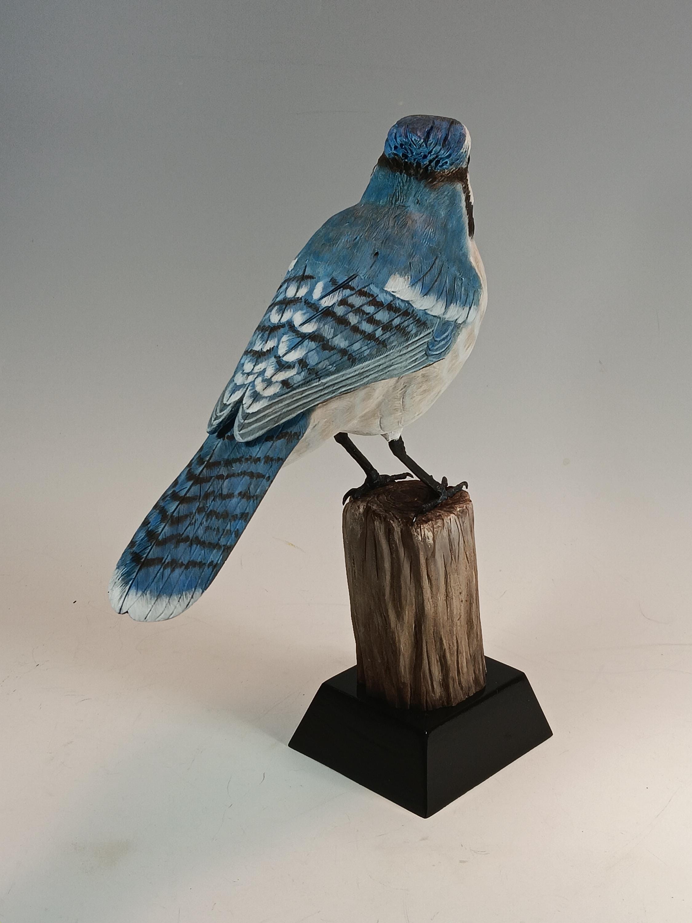 Blue Jay (Stump Base) — view 5