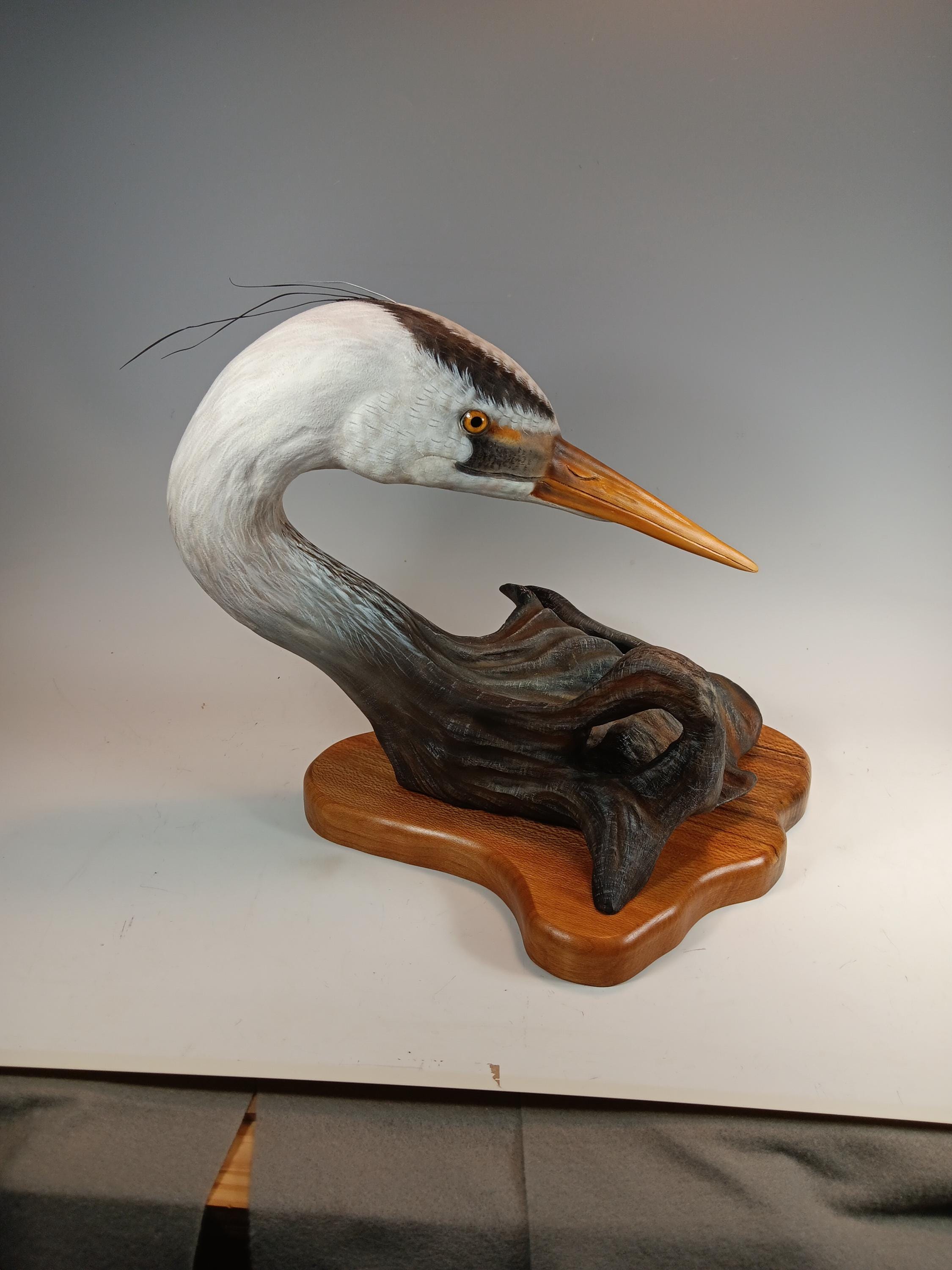 Great Blue Heron Bust — view 3