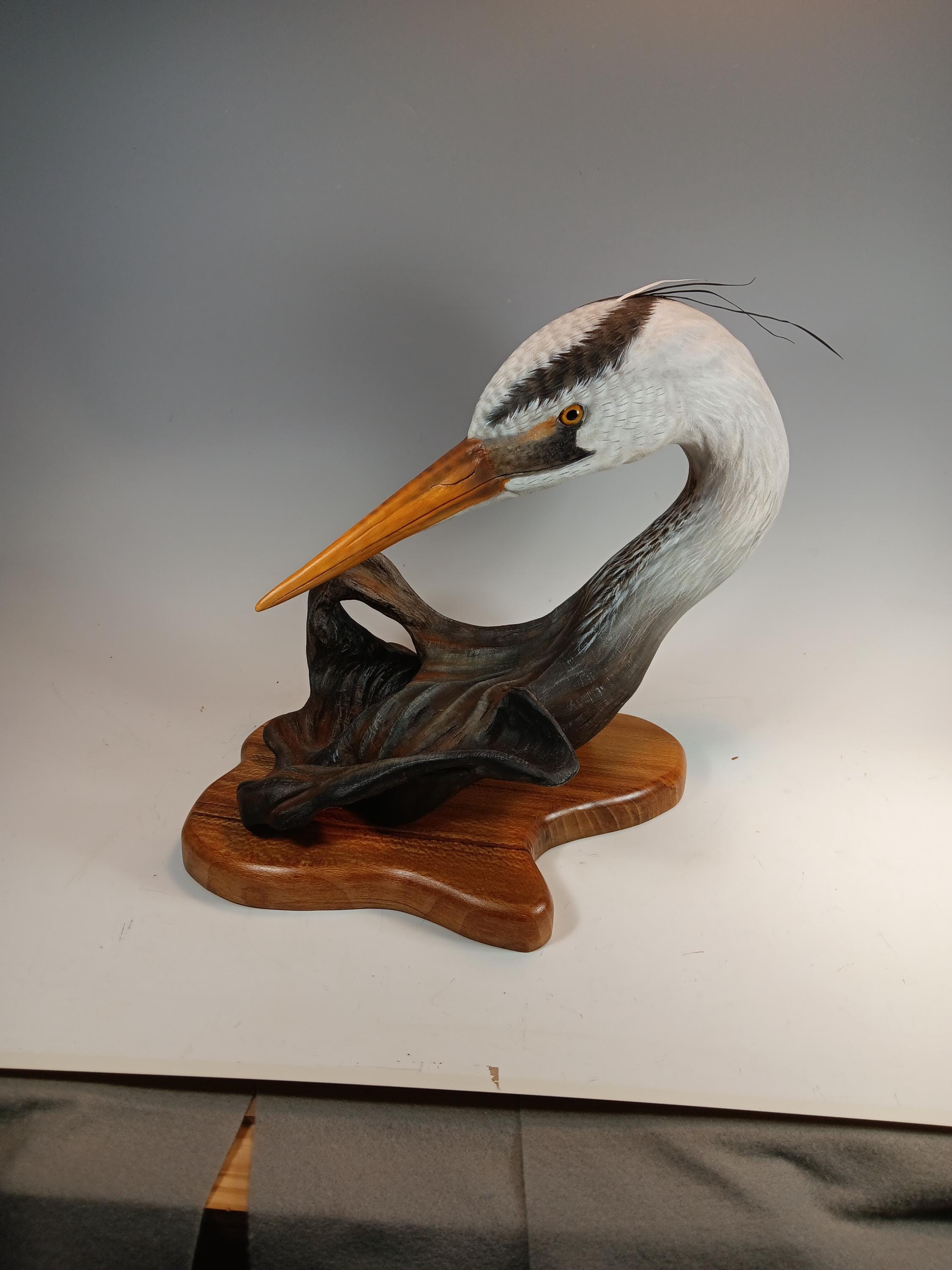 Great Blue Heron Bust — view 6