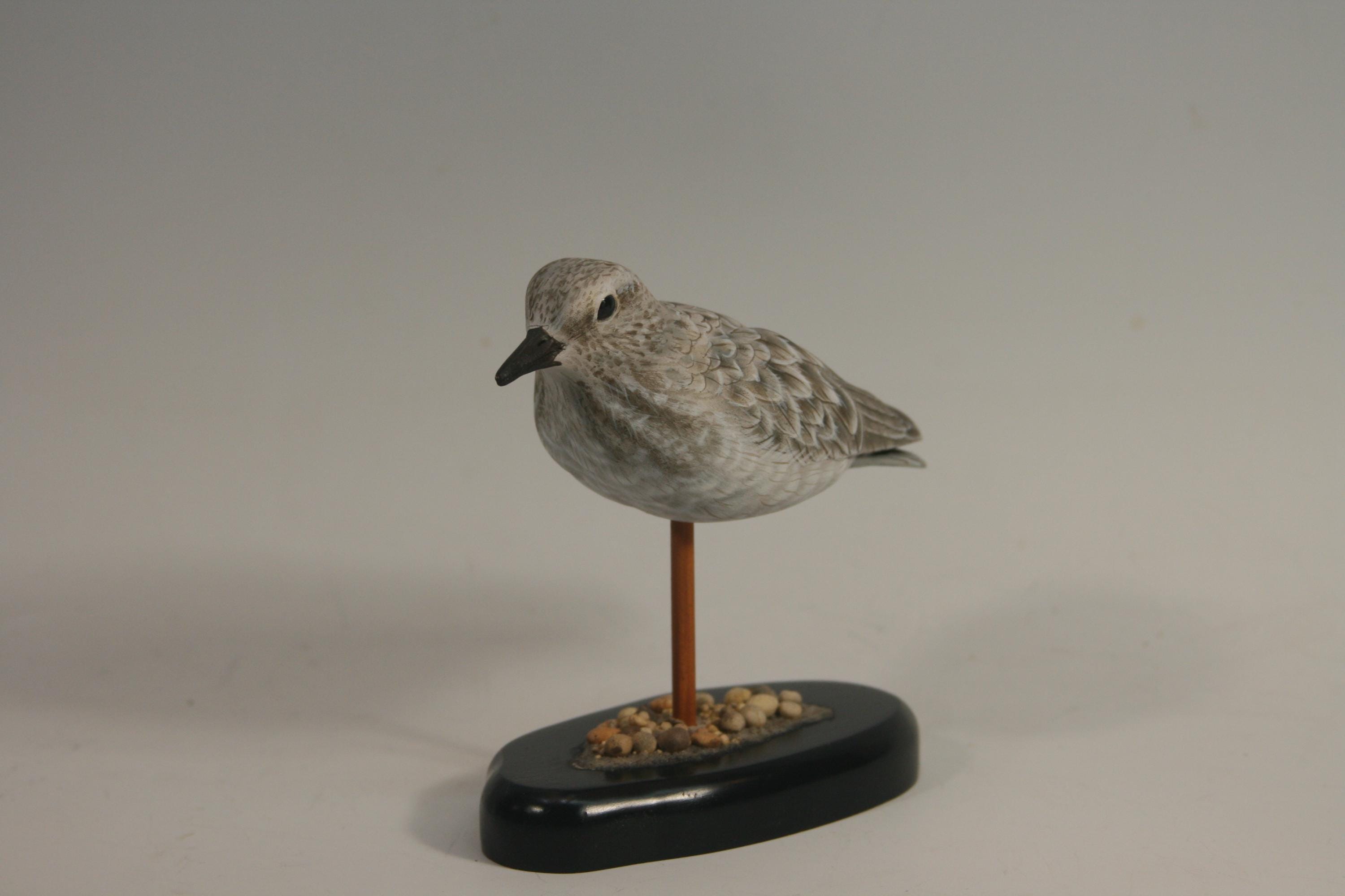 Least Sandpiper (Decoy) — view 6