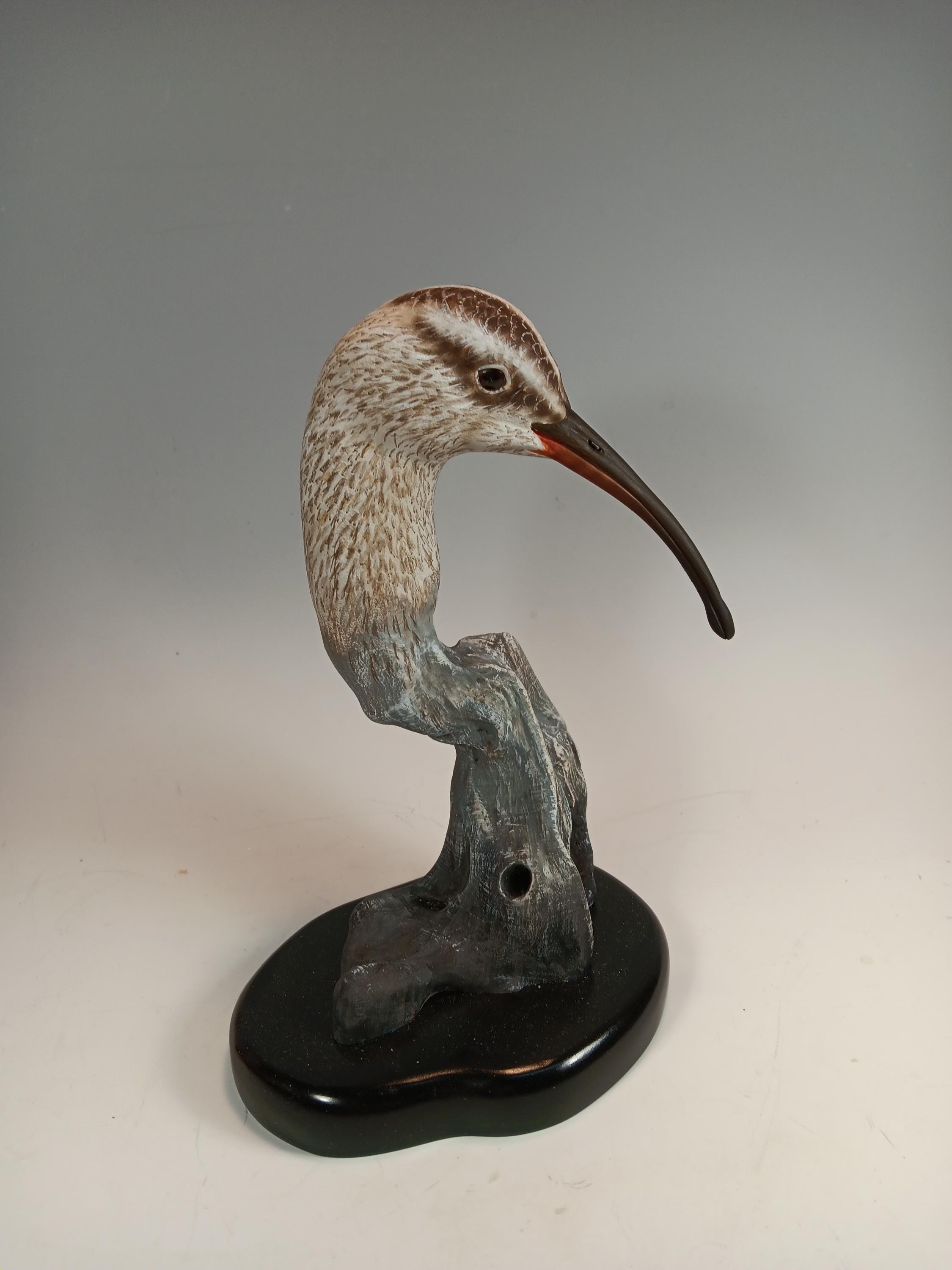 Whimbrel Bust — view 3